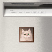 Cat Attitude Magnet (In Situ (Geschirrspüler))