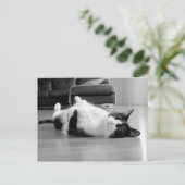 Cat Attitude Postkarte (Stehend Vorderseite)