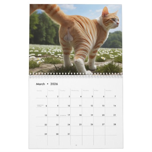 Cat Balls 2026 Sonniger Kalender (Mär 2026)