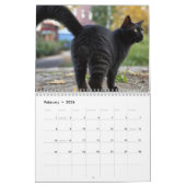 Cat Balls 2026 Sonniger Kalender (Feb 2026)