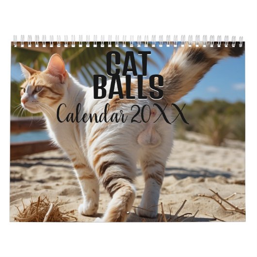 Cat Balls 2026 Sonniger Kalender (Titelbild)