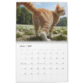 Cat Balls 2026 Sonniger Kalender (Mär 2027)