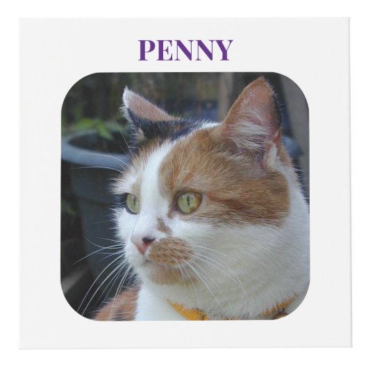 Cat Beileid Keepake Pet Memorial lila Foto Würfel (Vorderseite)