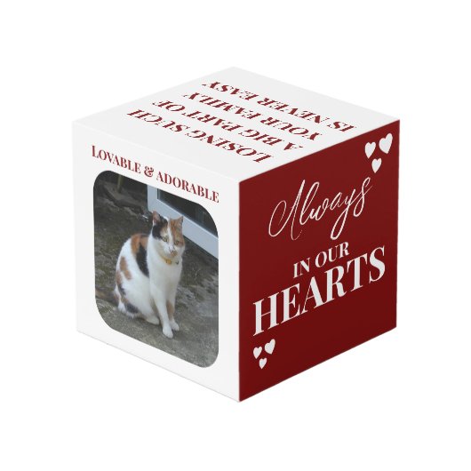 Cat Beileid Keepake Pet Memorial Maroon Foto Würfel (Rückseite Schrägansicht)
