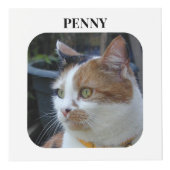 Cat Beileid Keepake Pet Memorial Schwarzes Foto Würfel (Vorderseite)