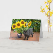 Cat Beileid mit Sonnenblumen Karte (Gelbe Blume)