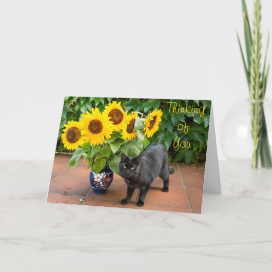 Cat Beileid mit Sonnenblumen Karte (Vorderseite)