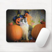 Cat Between Pumpkins Mousepad (Mit Mouse)