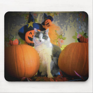 Cat Between Pumpkins Mousepad