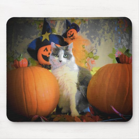 Cat Between Pumpkins Mousepad (Vorne)