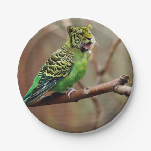 Cat-Bird Pappteller