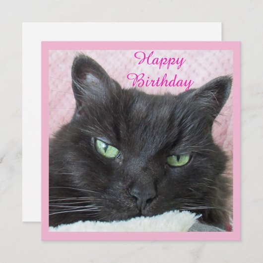 Cat Birthday Card (Vorne/Hinten)
