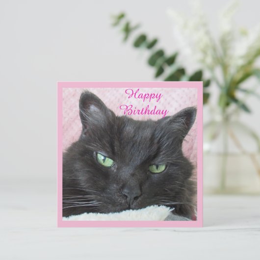 Cat Birthday Card (Stehend Vorderseite)