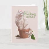 Cat Birthday Card Karte (Vorderseite)
