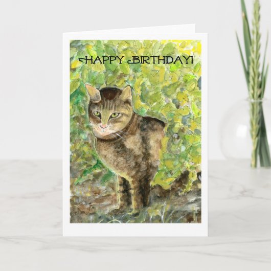 Cat Birthday Card Karte (Vorderseite)