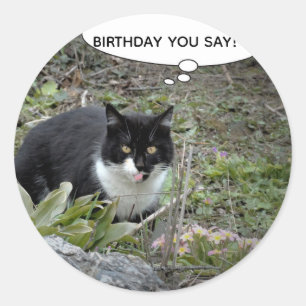 Cat Birthday Custom Text Classic Aufkleber