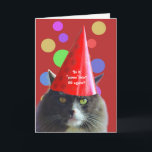 Cat Birthday Funny 29 Wieder Grumpy Cat Karte<br><div class="desc">Ich werde beißen,  29 wieder! Eine lustige,  gruselige Katze mit einem Party Hut! Eine humorvolle Art,  Glückliche Geburtstagwünsche zu senden!</div>