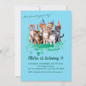 Cat Birthday Party, Mädchen und Kinder Blue Einladung (Vorderseite)