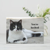 Cat Black and White Tuxedo Foto Geburtstag Einladung (Stehend Vorderseite)