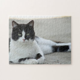 Cat Black and White Tuxedo Foto Puzzle
