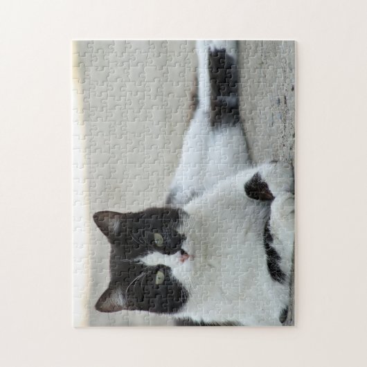 Cat Black and White Tuxedo Foto Puzzle (Vertikal)