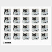 Cat Black and White Tuxedo Foto Quadratischer Aufkleber (Blatt)