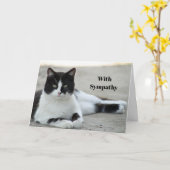 Cat Black and White Tuxedo Foto Sympathy Karte (Gelbe Blume)
