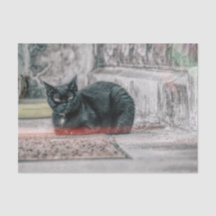 Cat Black Niedliche Vintage Antike Kunst