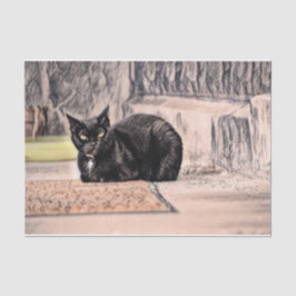 Cat Black Niedliche Vintage Antique Sketch Seidenpapier