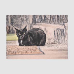 Cat Black Niedliche Vintage Antique Sketch Seidenpapier