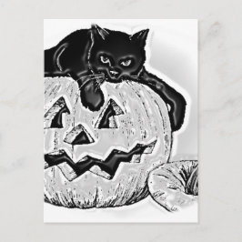 Cat Black Orange Pumpkin Halloween Postkarte