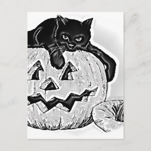 Cat Black Orange Pumpkin Halloween Postkarte (Vorderseite)