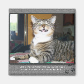 Cat Blames Dog Magnet (Vorne)