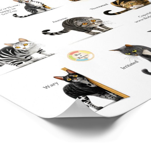 Cat Body Language Chart Poster (Ecke)