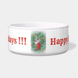 Cat Bowl Napf