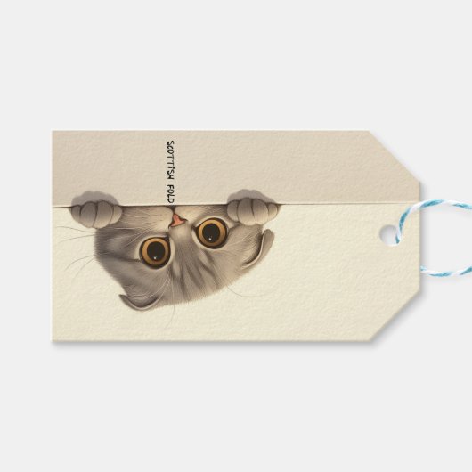 Cat Breed Scottish Fold Geschenkanhänger (Vorderseite (Horizontal))