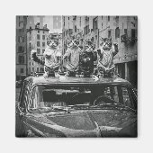 cat brothers magnet (Vorne)