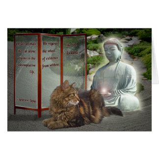 Cat-Buddha-Natur