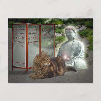 Cat-Buddha-Natur Postkarte