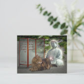 Cat-Buddha-Natur Postkarte (Stehend Vorderseite)