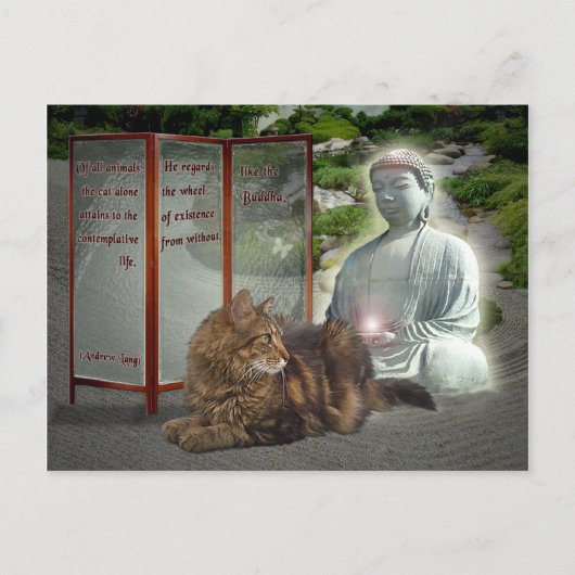 Cat-Buddha-Natur Postkarte (Vorderseite)