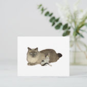 Cat Buddies Postkarte (Stehend Vorderseite)