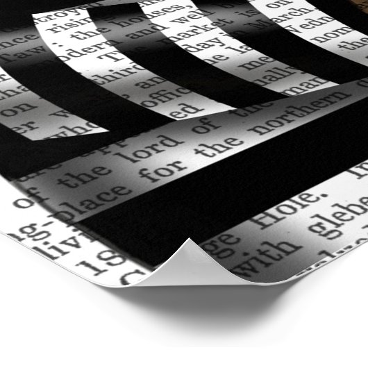 Cat Burglar Poster (Ecke)