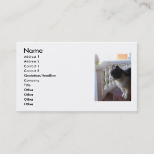 Cat Business Card Visitenkarte
