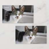 Cat Business Card Visitenkarte (Vorne/Hinten)