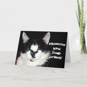 CAT & BUTTERFLY Missing You Card Feiertagskarte