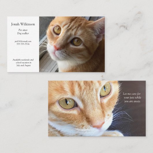 Cat by window Business Card Visitenkarte (Vorne/Hinten)