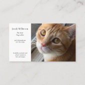 Cat by window Business Card Visitenkarte (Vorderseite)