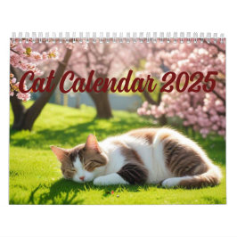 Cat Calendar 2025 Kalender