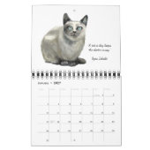 cat calendar 2026 kalender (Jan 2027)